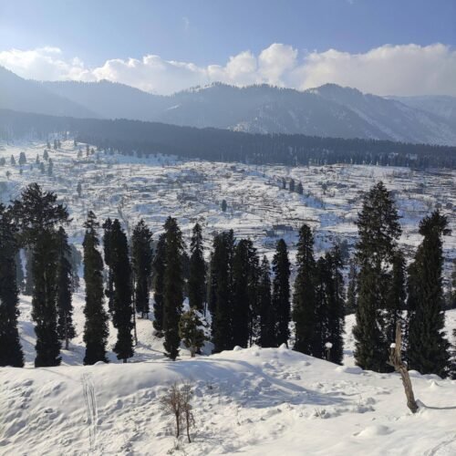 Doodhpathri-front-image