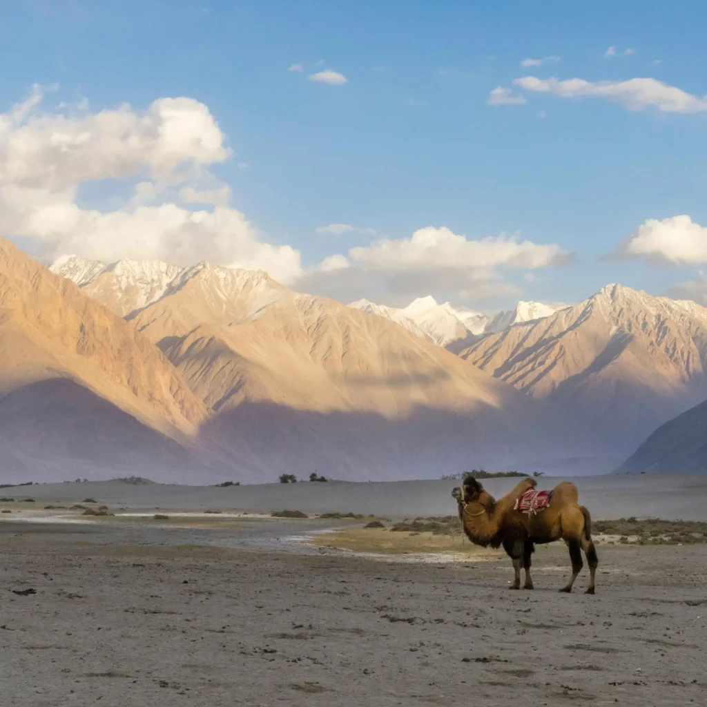nubra-velly-tales-of-travelers-scaled