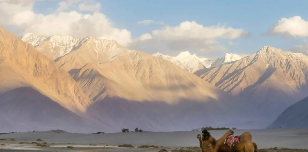 nubra-velly-tales-of-travelers-scaled